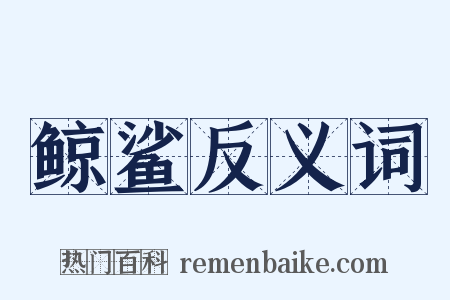 鲸鲨反义词是什么意思的图片